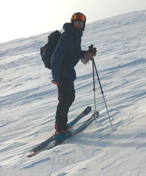 Alpina skidor